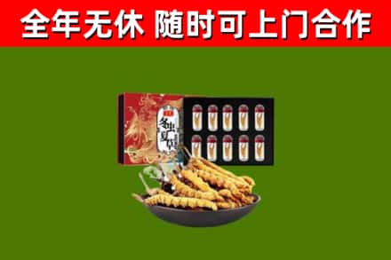 桃城烟酒回收冬虫夏草礼盒.jpg